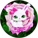 Katalin B. profile picture